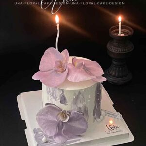 purple phalaenopsis orchid