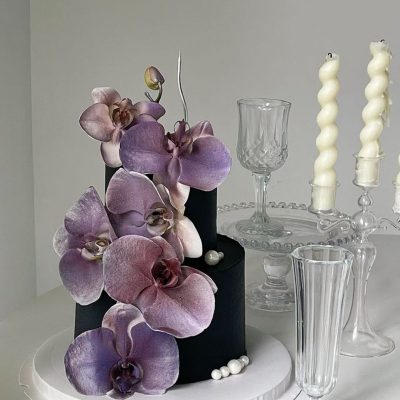 双层黑紫蝴蝶兰 double-layer black and purple butterfly with blue accents