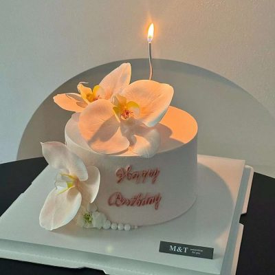 粉色蝴蝶兰 Pink Phalaenopsis orchid(3)