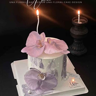 紫色蝴蝶兰 purple phalaenopsis orchid