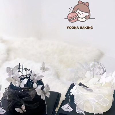 黑色丝带蝴蝶 Black ribbon with butterfly